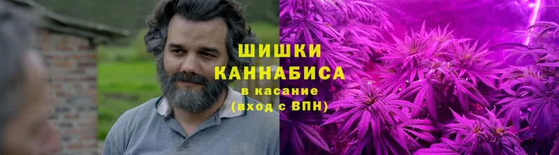 Бошки Шишки индика  купить закладку  Грязовец 